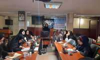 برگزاری کارگاه آموزشی تغذیه انحصاری با شیر مادر، در آستانه هفته جهانی شیر مادر