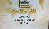 برگزاری وبینار نانوسلامتی به‌مناسبت پویش تغذیه سالم با محوریت نان