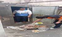 رسیدگی فوری کارشناسان مرکز بهداشت شمال تهران به شکایات سامانه ۱۹۰ در دومین روز سال